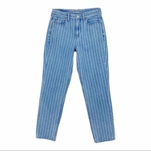 American Eagle Outfitters Mom Jeans White Striped Blue Denim